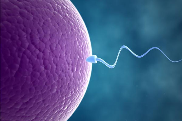 Infertility